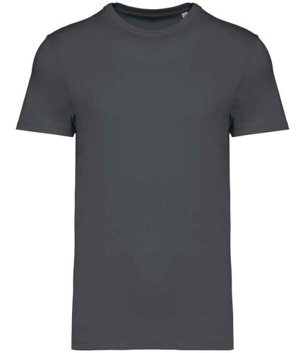 Native Spirit Unisex Heavyweight T-Shirt - IRN - 5XL